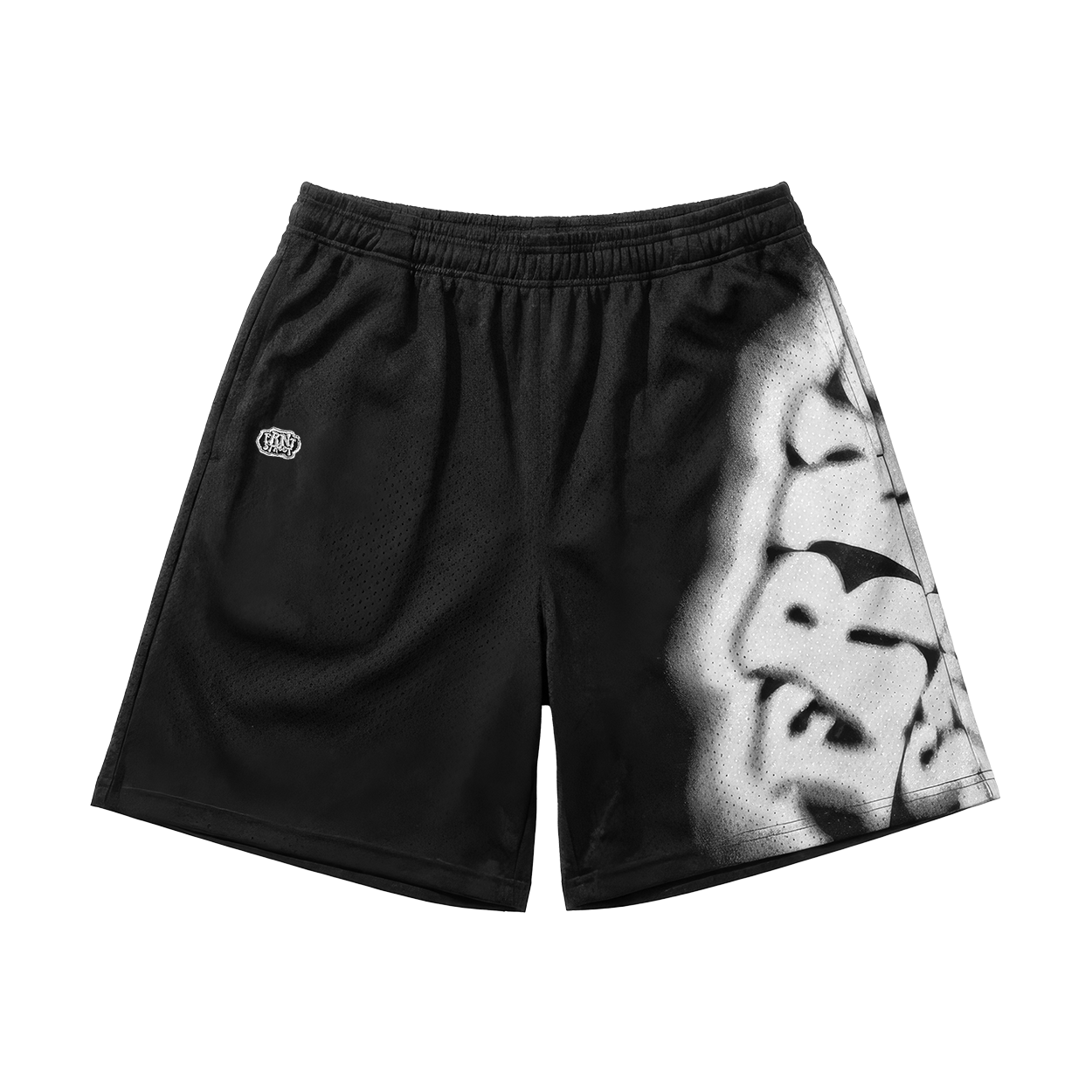 Blurred Logo Mesh Shorts