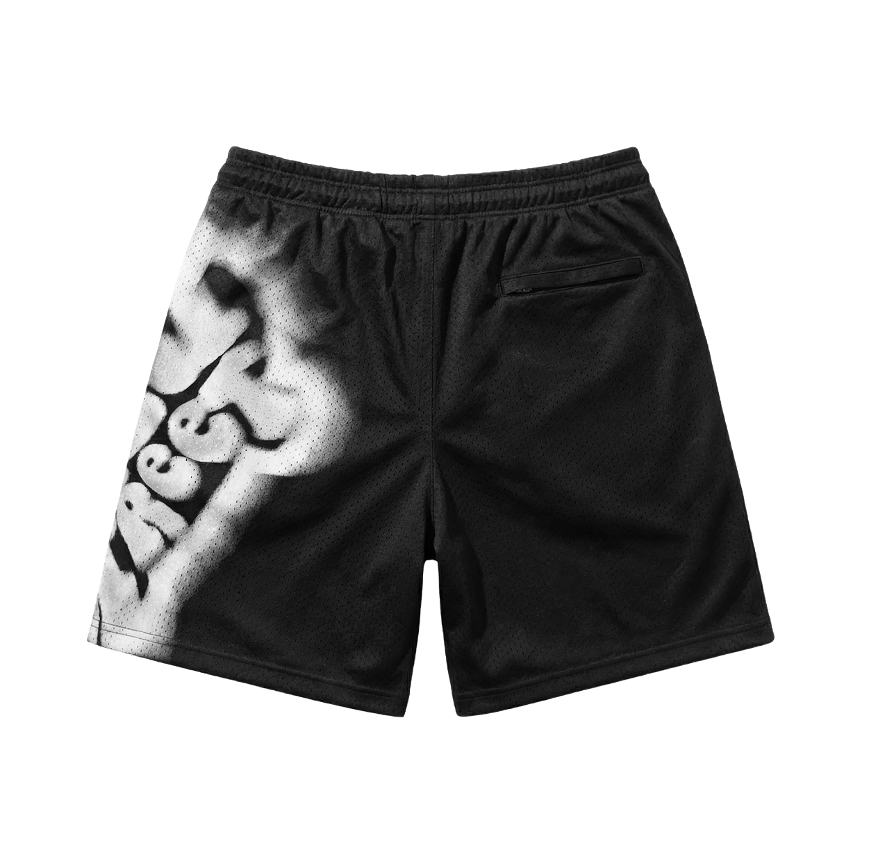 Blurred Logo Mesh Shorts